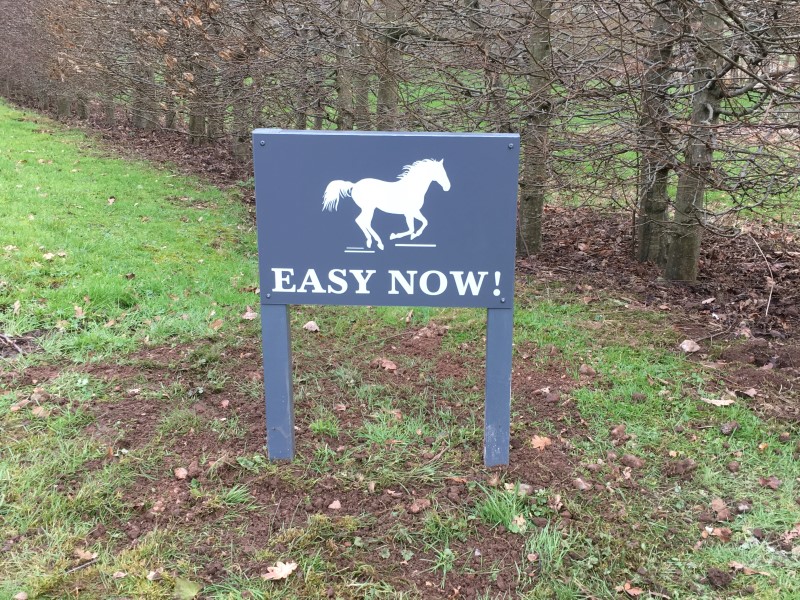 sign-easy-now